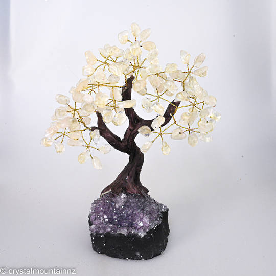 Clear Quartz Tree with Amethyst Base image 0